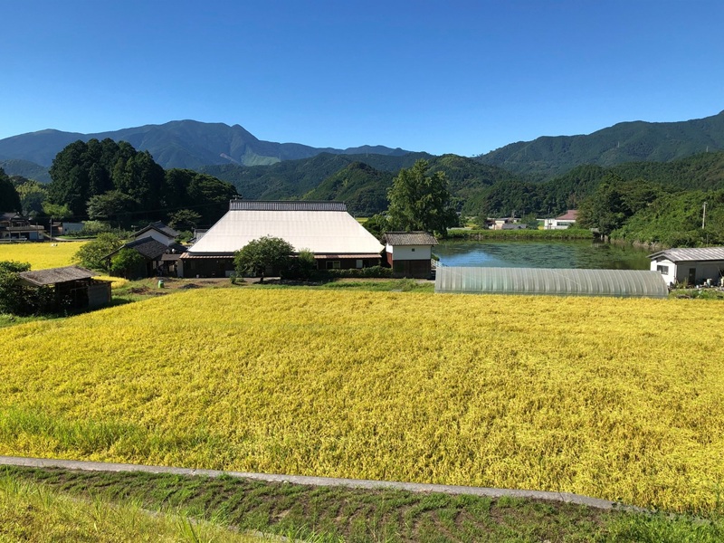 サロン